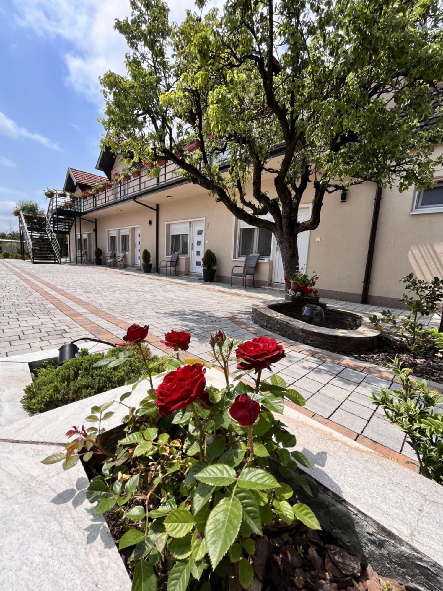 Kovac Residence Ζρένιανιν Εξωτερικό φωτογραφία